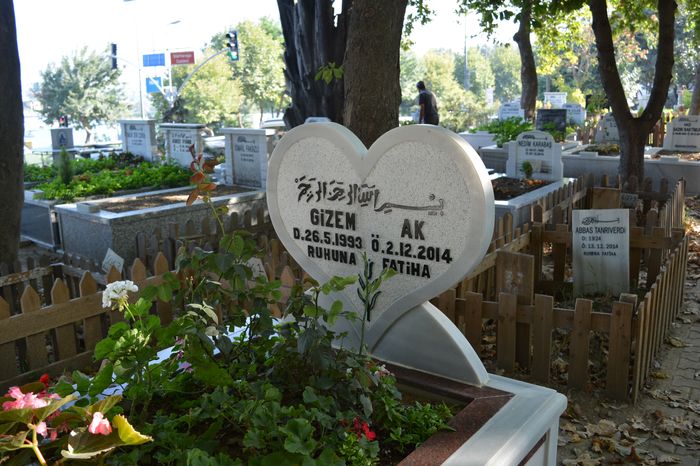 image-.jpg