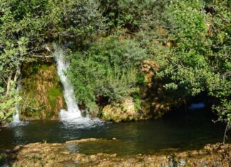 The Hebdomon and Its Position by the Sea
