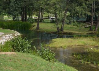 The Palace of the Hebdomon and the Name Magnaura